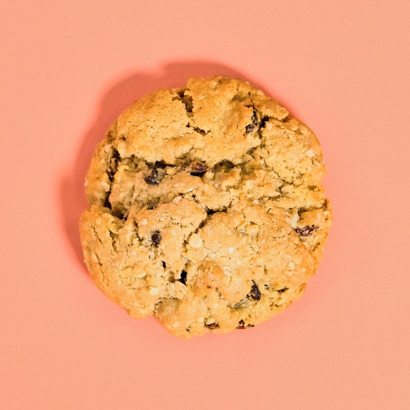 Oatmeal Raisin New York Cookie  Crumbs & Doilies