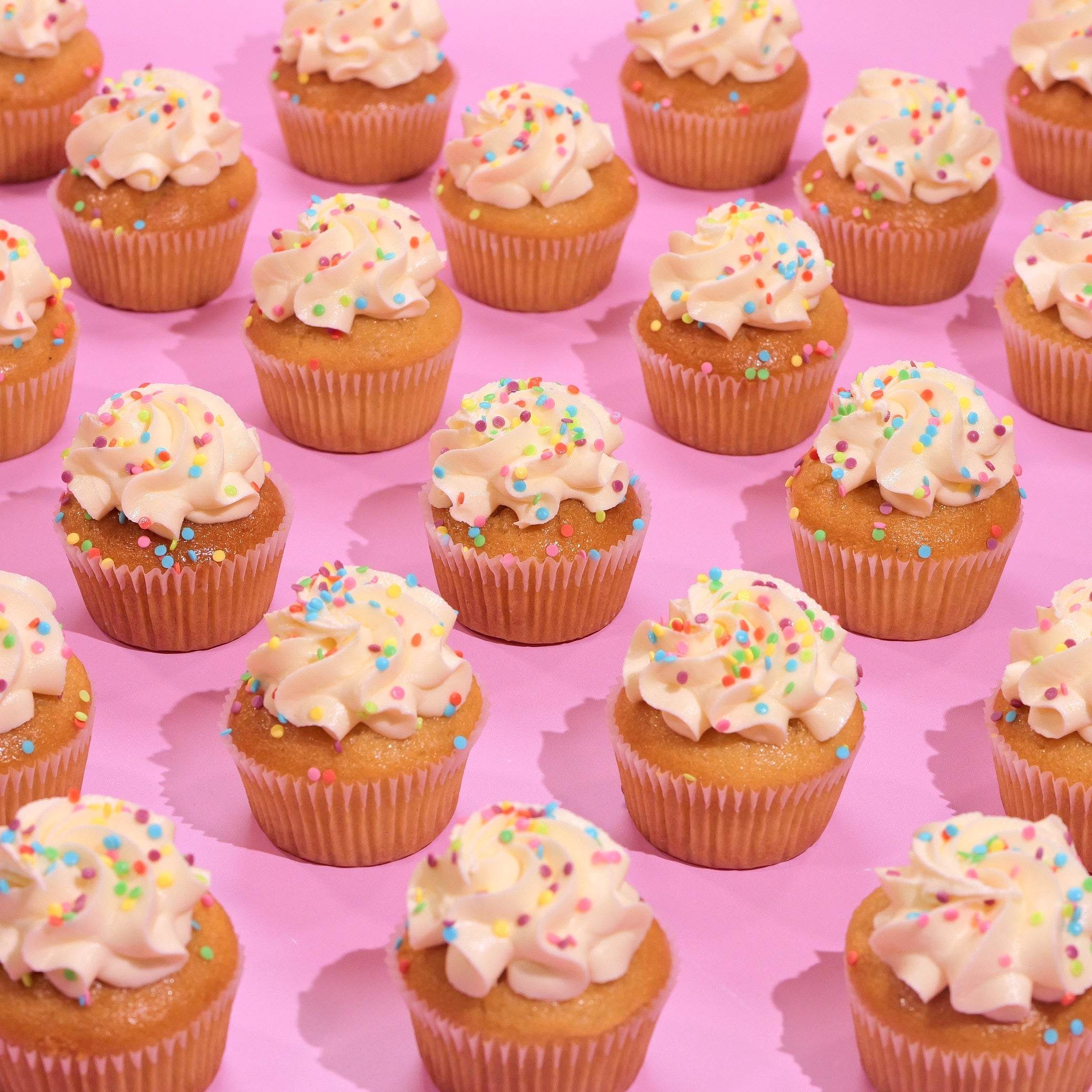 Vegan Vanilla Cupcakes with plant-based icing and colorful sprinkles Crumbs & Doilies